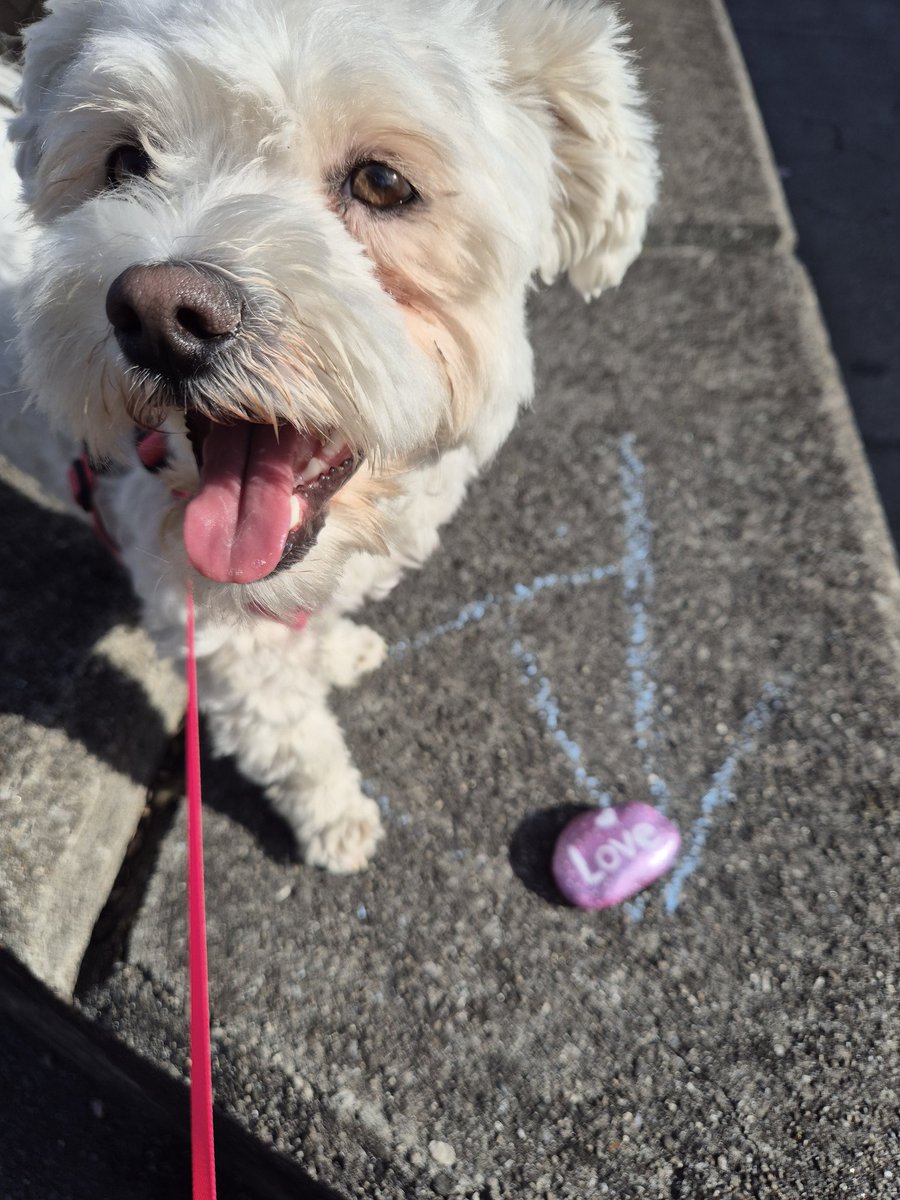 Nαԃʝα ˃ᴗ˂ tweet media