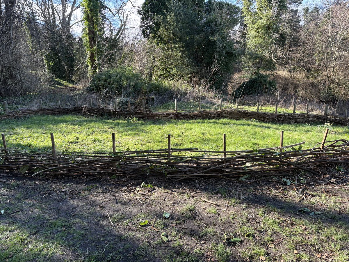 Water of Leith Conservation Trust tweet media