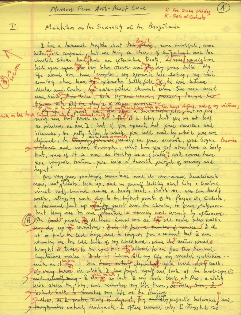 Lemón 🍋 tweet media