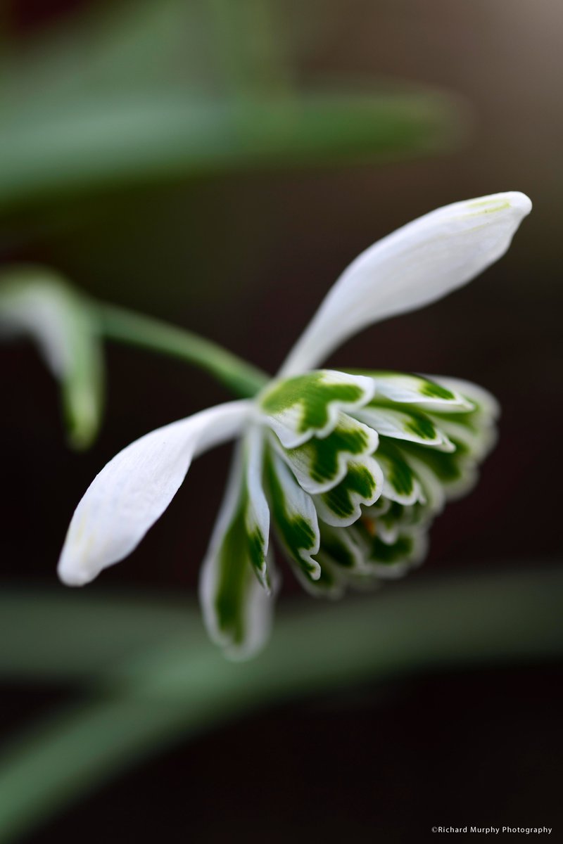 Richard Murphy tweet media