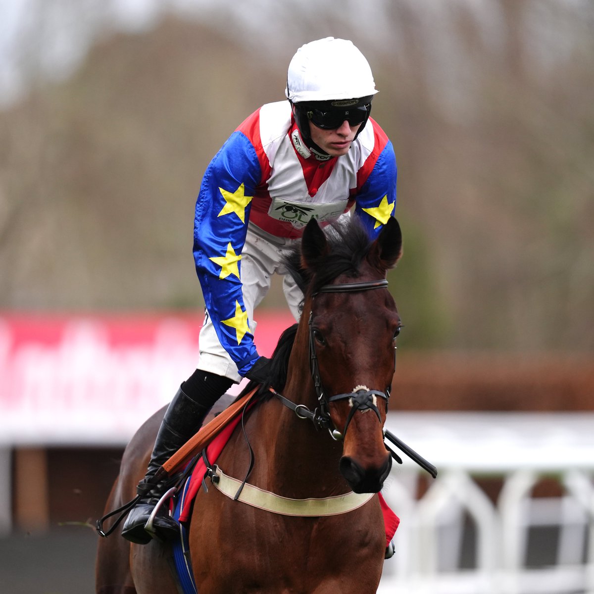 At The Races tweet media