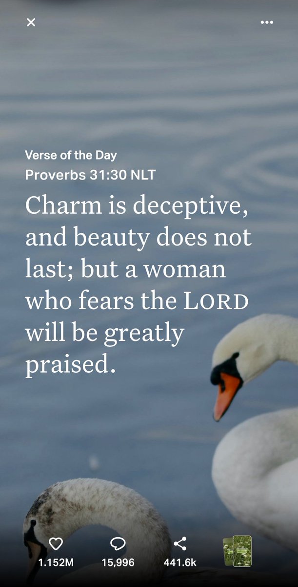 SquidDaBeast tweet media