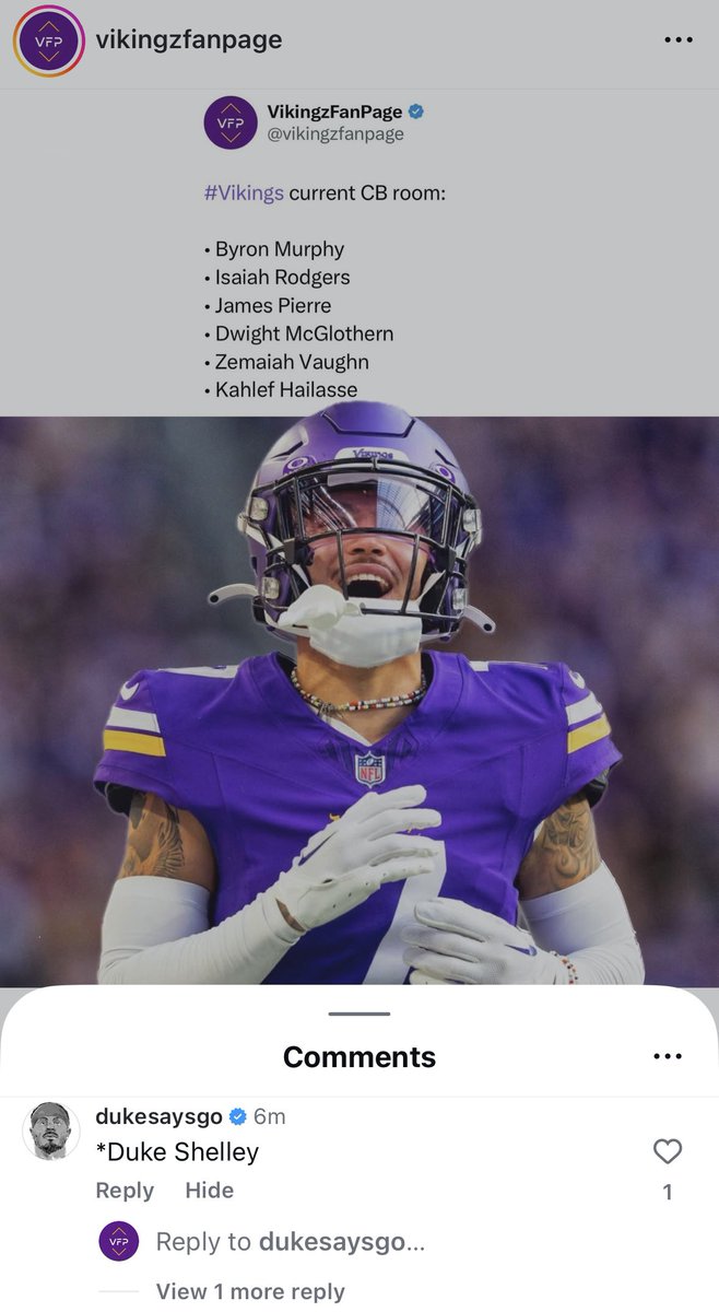 VikingzFanPage tweet media