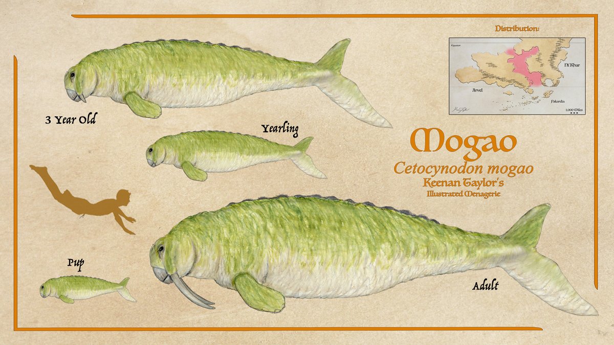 Keenan Taylor's Tales of Kaimere | He/Him tweet media