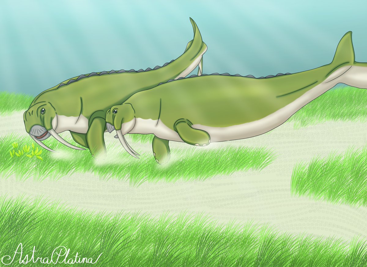 Keenan Taylor's Tales of Kaimere | He/Him tweet media