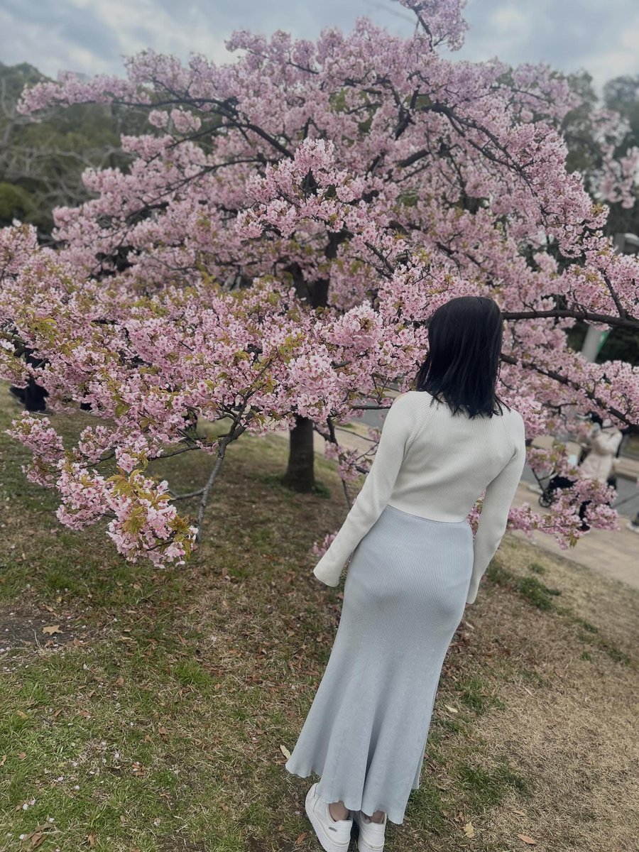 さやか tweet media