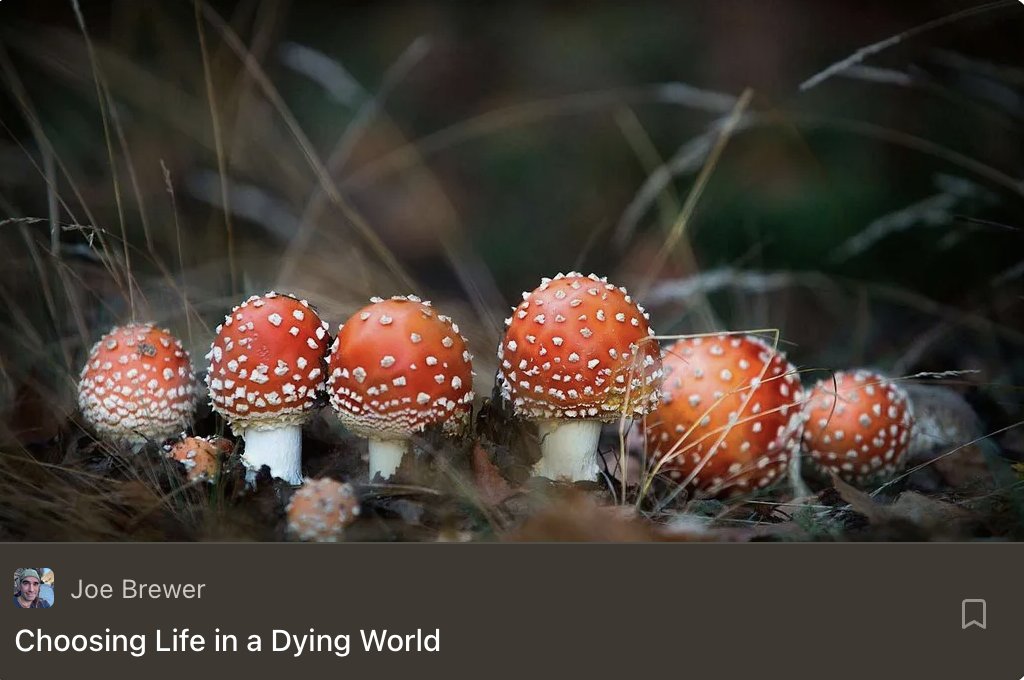 Joe Brewer tweet media