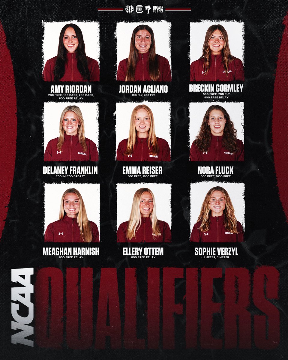 South Carolina Swimming & Diving tweet media