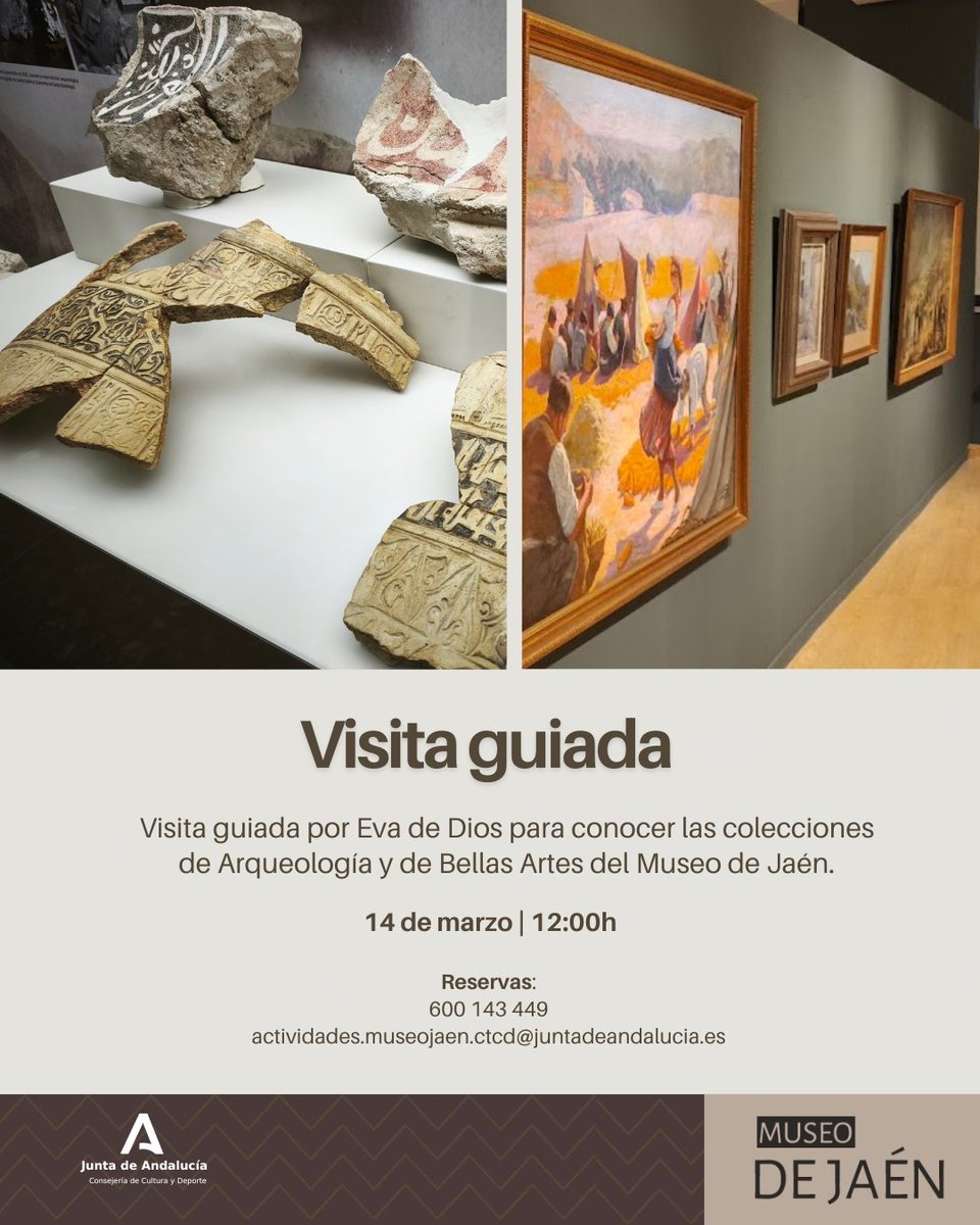 Museo de Jaén tweet media