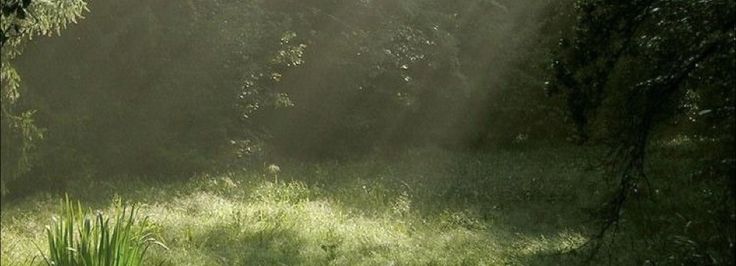 aly (-6.2/15kgs) tweet media