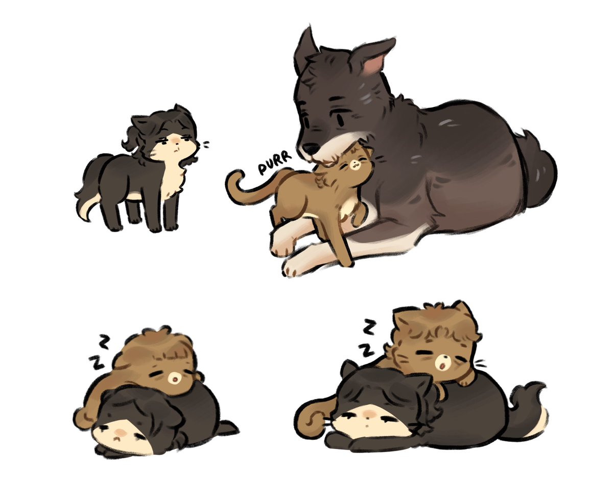 salmonblurb's tweet photo. Stray kitten whitsantos again~ 
#thepitt https://t.co/P8x0dXGIVh