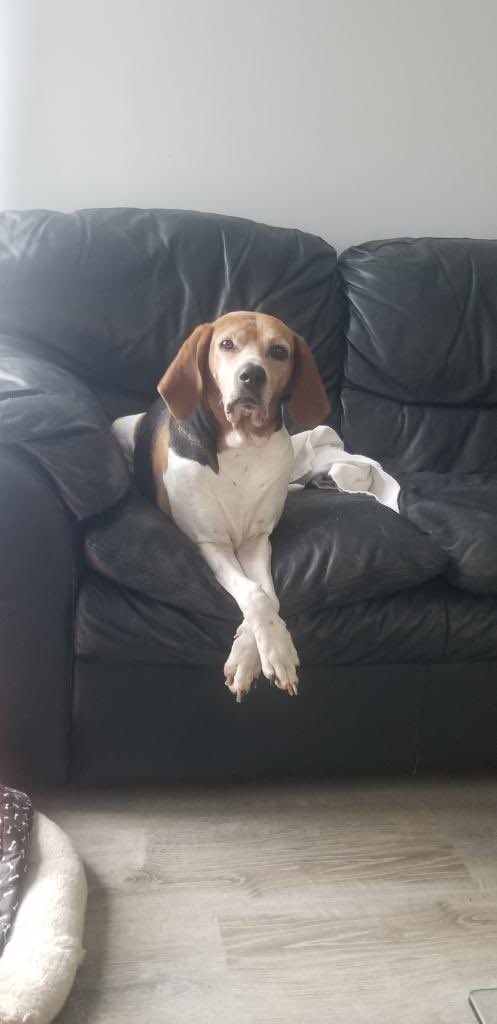 Brian Keselowski tweet media