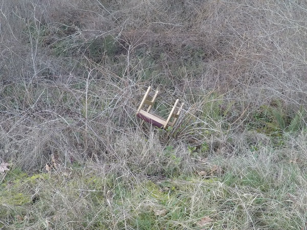 クランベリー tweet media