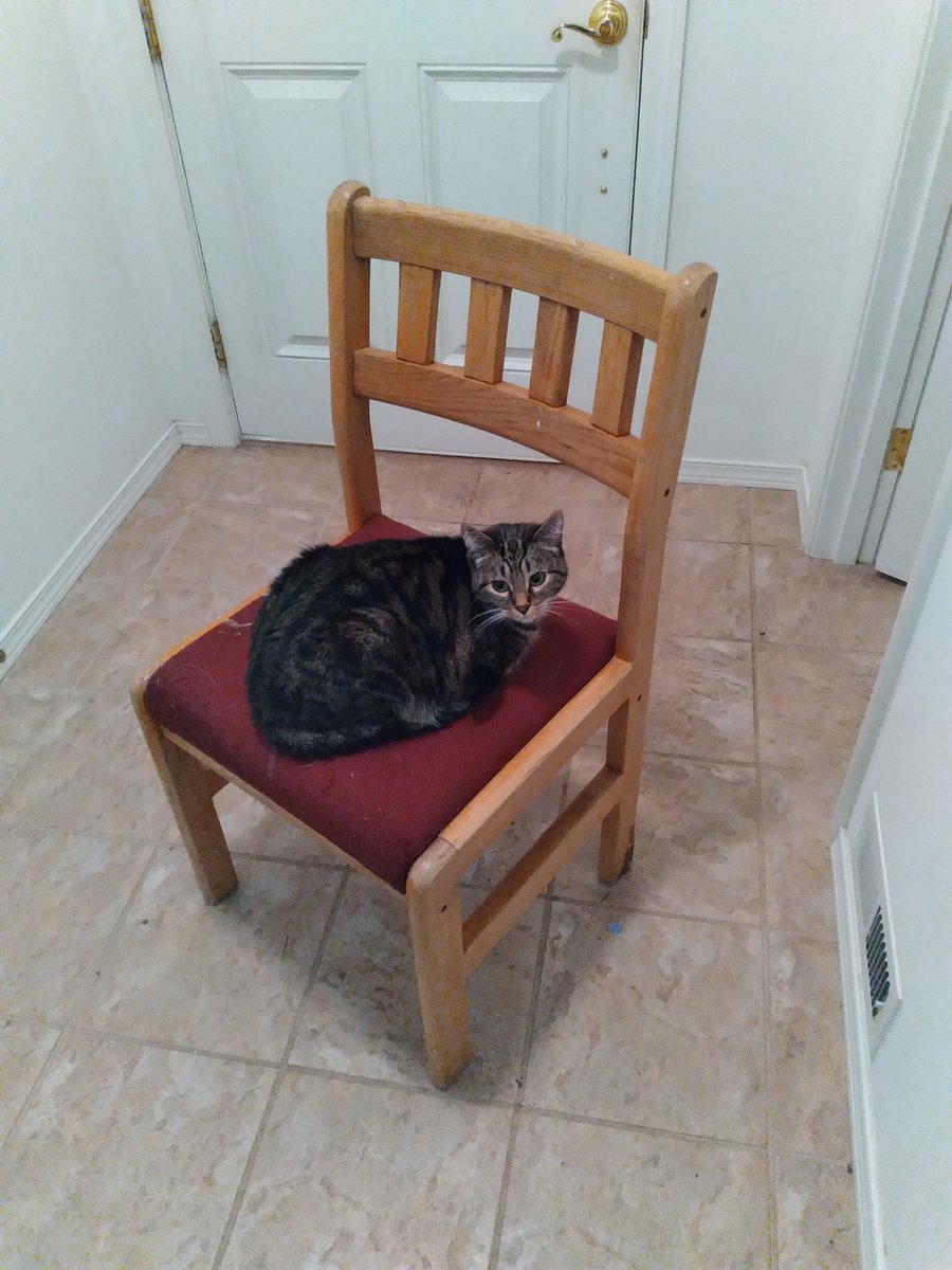 クランベリー tweet media