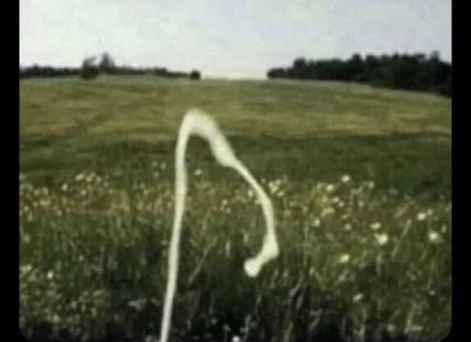 🇯🇲♛LANDO♛🇯🇲 tweet media