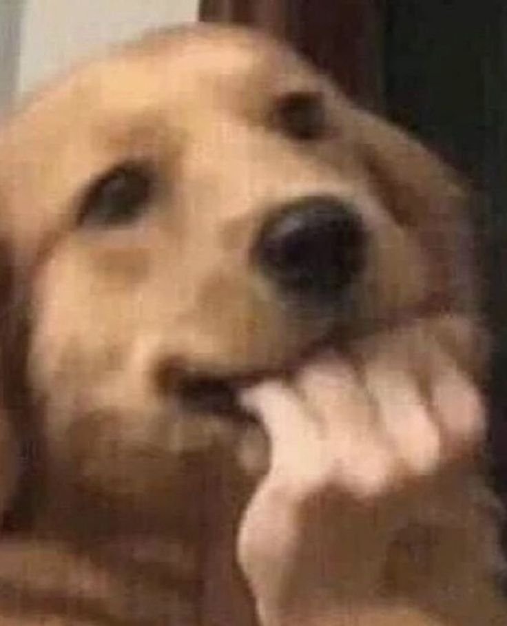 Eu me segurando para não deixar escapar nenhum spoiler da feira de estágios para vocês

Acabei de receber uma notícia BABADEIRA 😱🤫