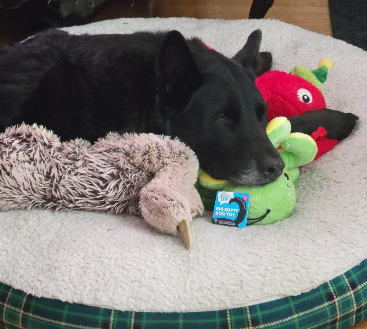 Annette White tweet media