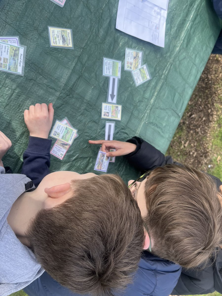 Brompton-Westbrook Science tweet media