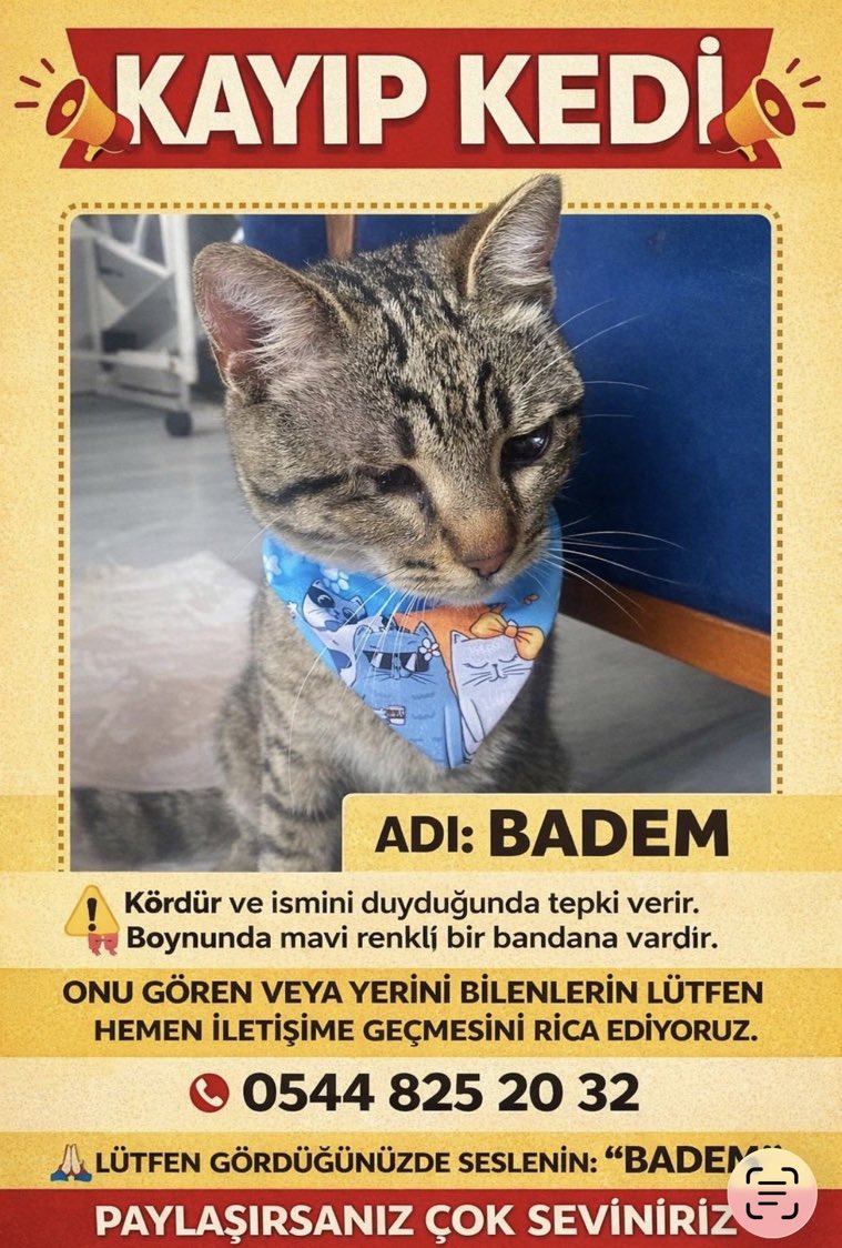 HAN(Perisi de var) (@kedilihan) on Twitter photo 