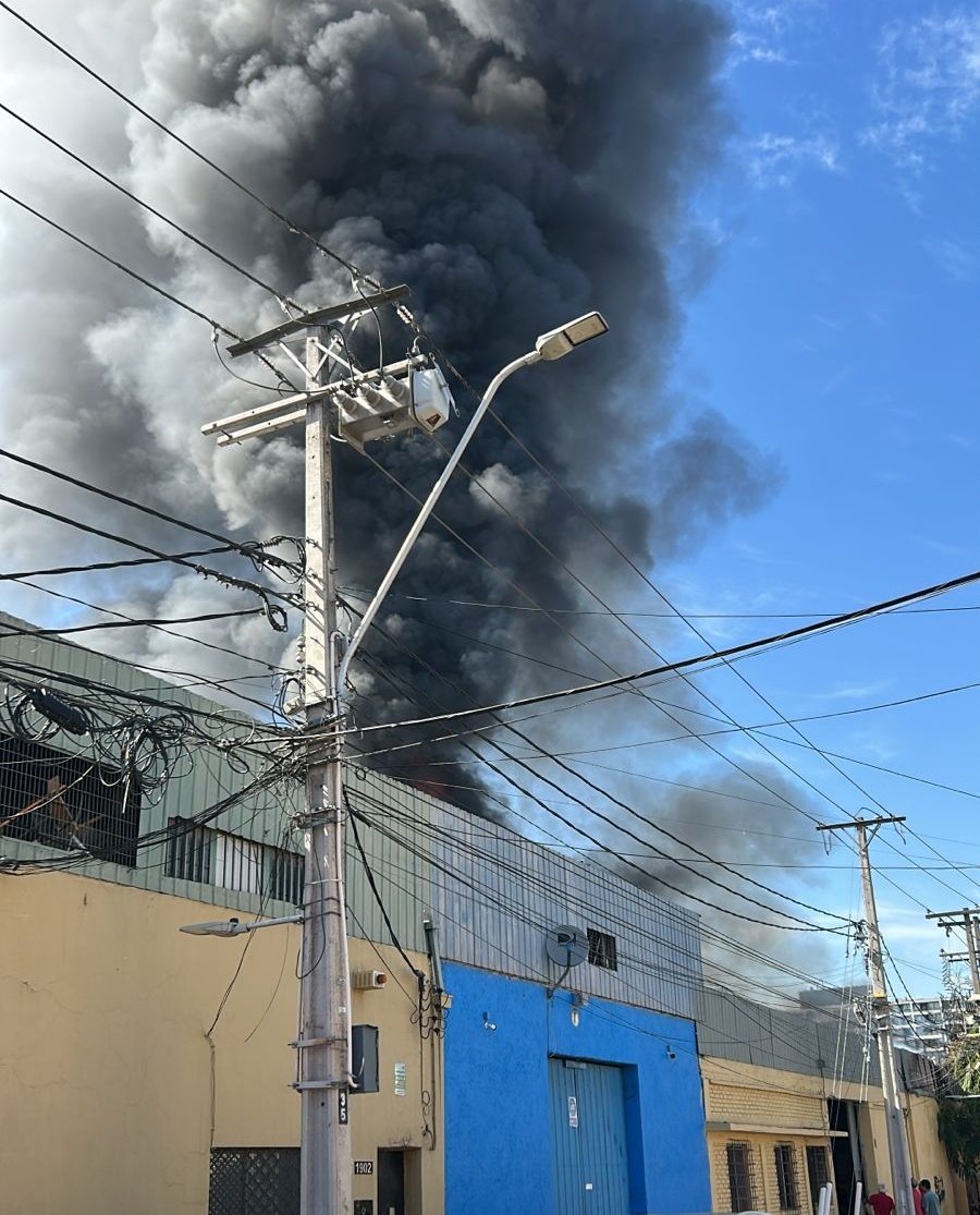 OMEGAPROC tweet media