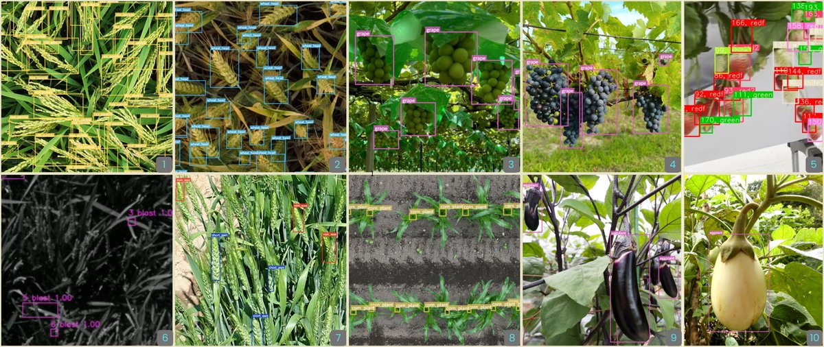 Chloros_ai's tweet photo. SWALO also provides pre-trained AI models for crops such as:

🌾 rice
🌾 wheat
🌽 maize
🍓 strawberry
🍆 eggplant
🍇 grape
Lowering the barrier to adopting crop image analysis AI. https://t.co/cdzEJUEaNN