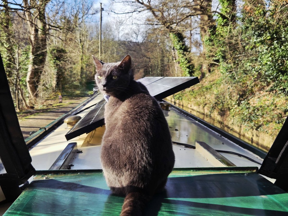 Towpath Talk tweet media