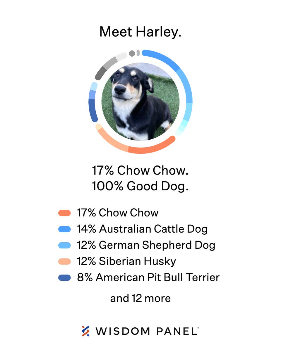 David Sassower tweet media