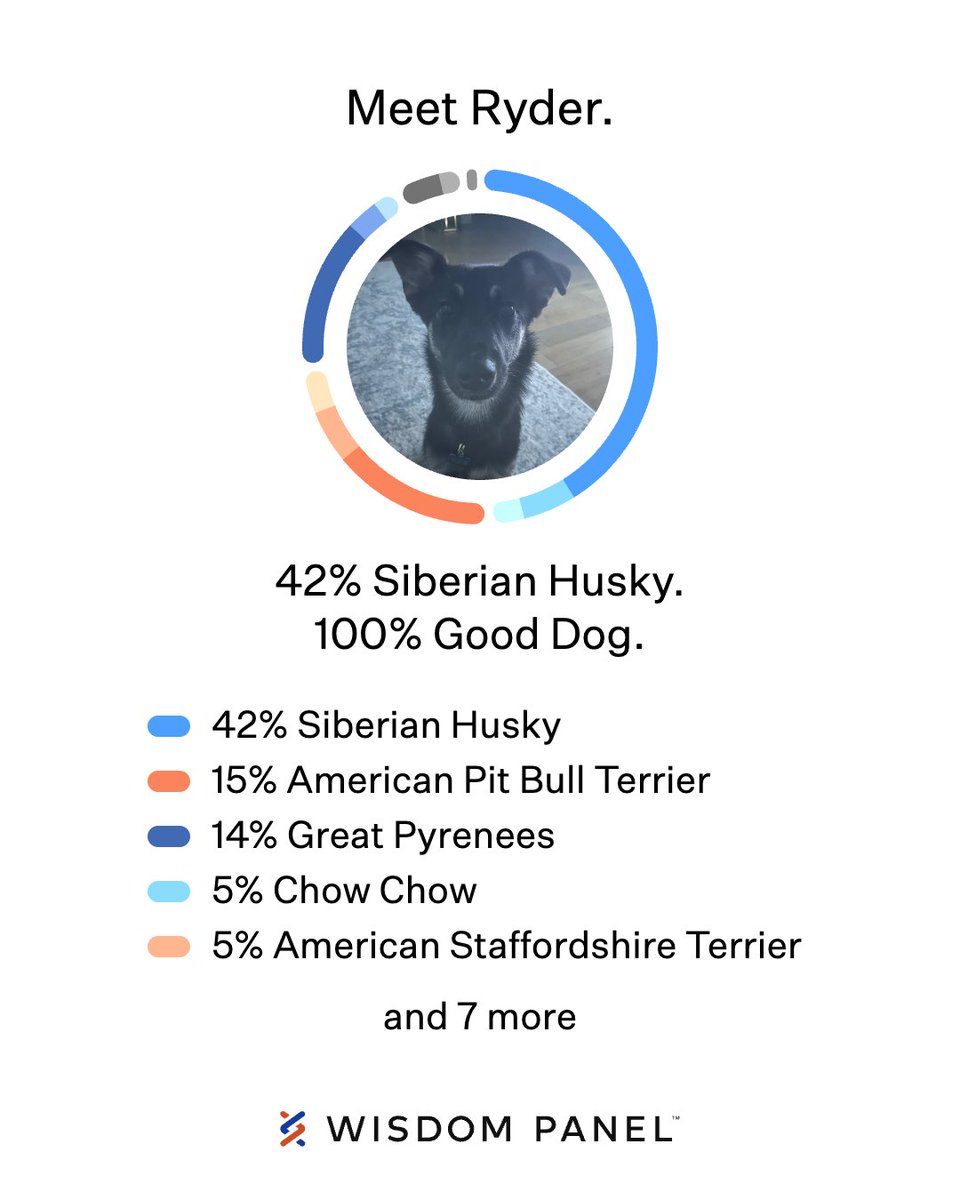 David Sassower tweet media