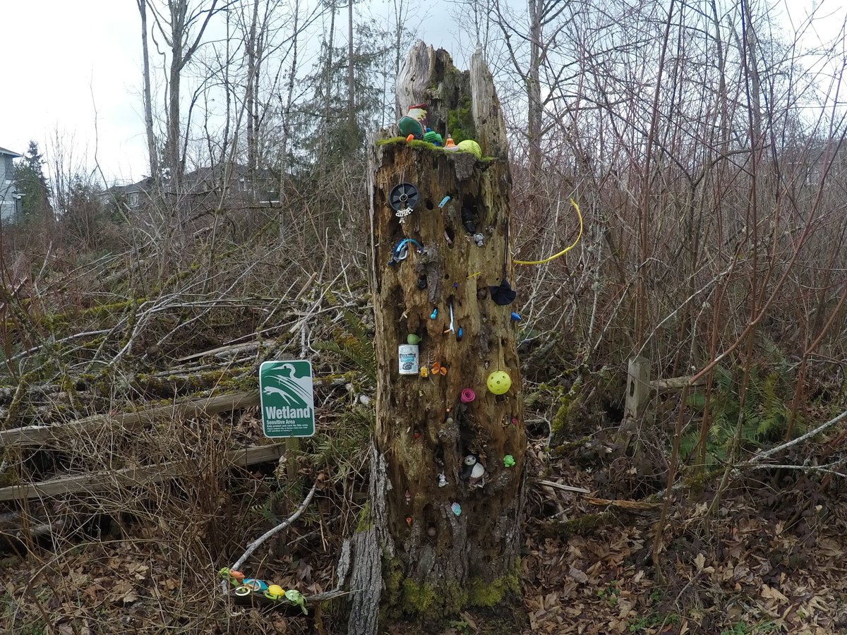 クランベリー tweet media