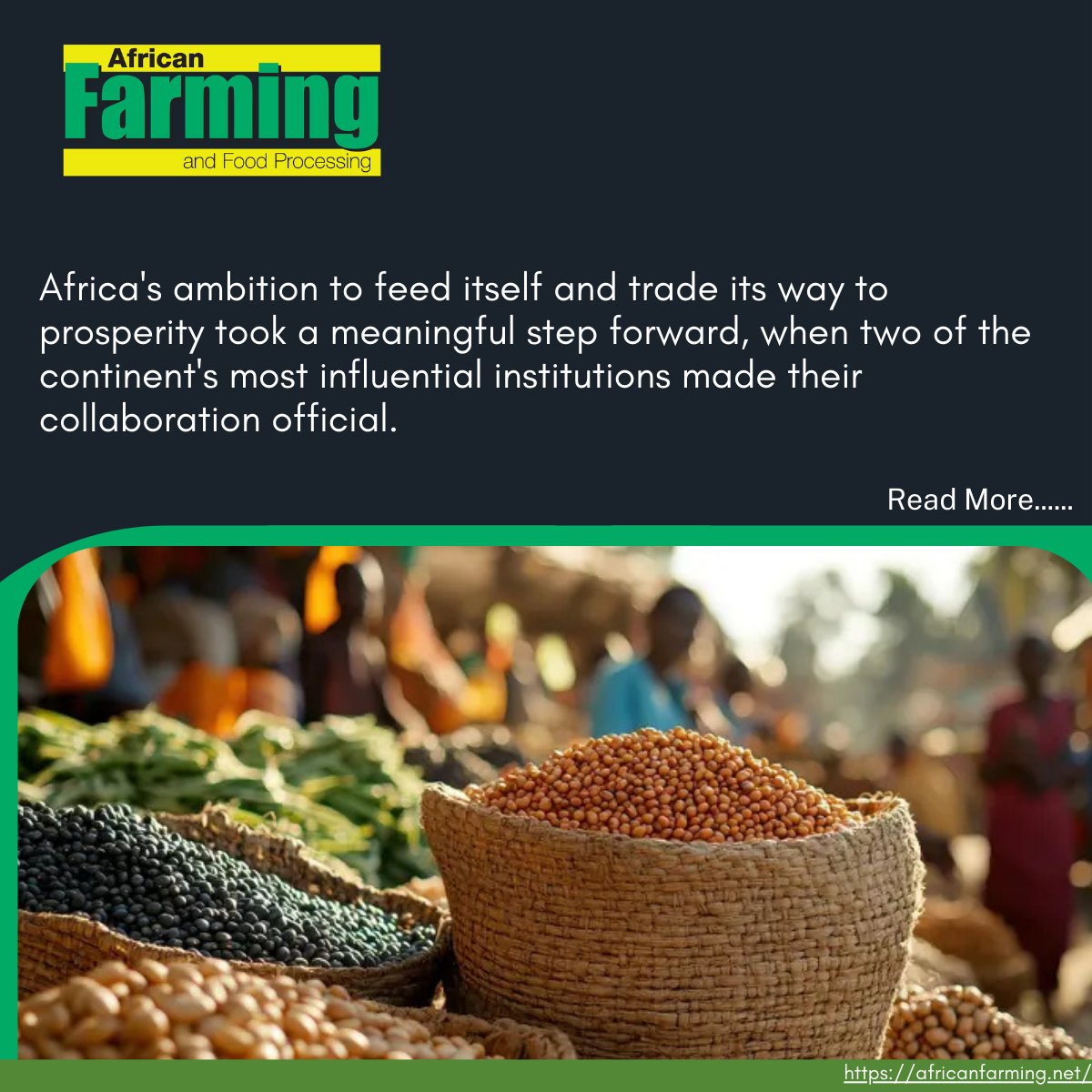 African Farming tweet media