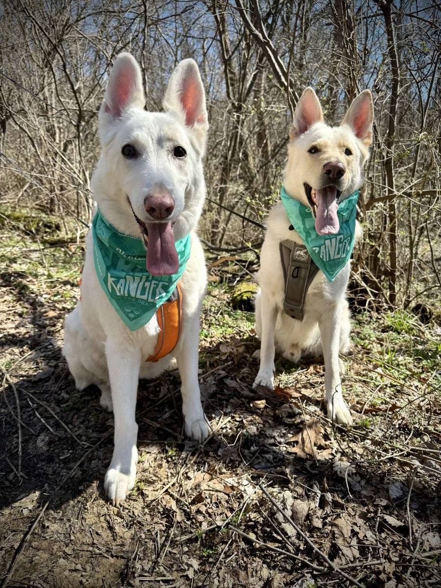 KentuckyStateParks tweet media