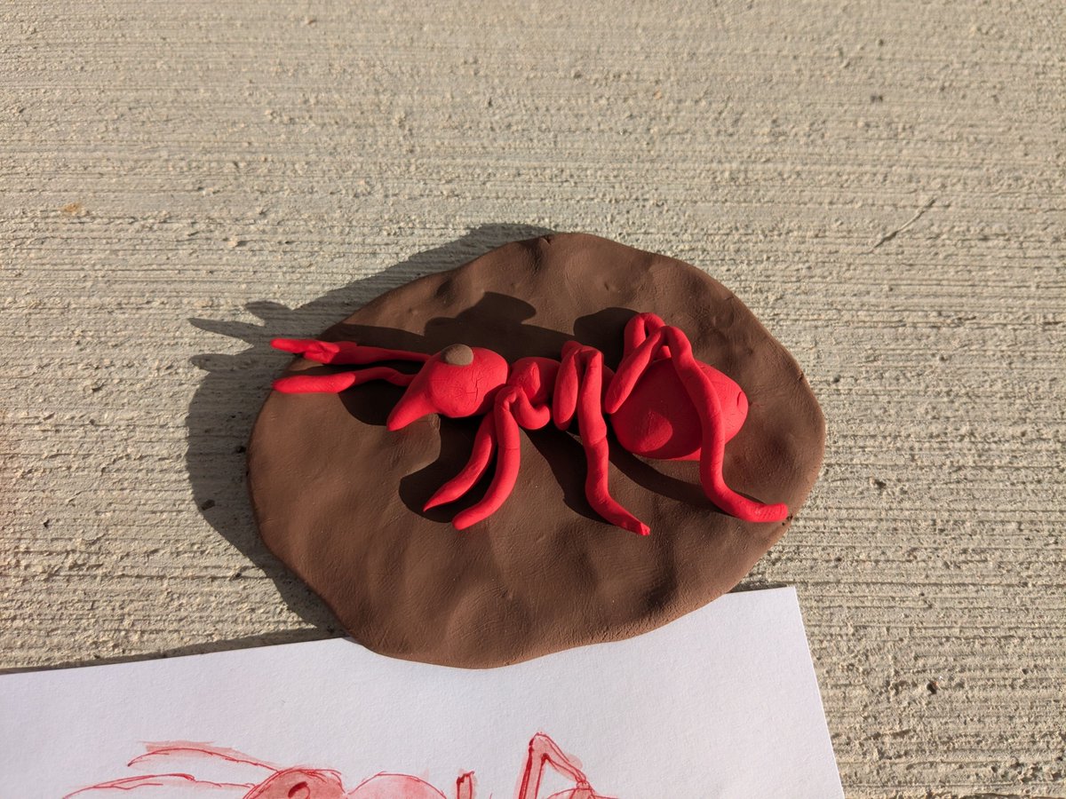 Jason Turner tweet media