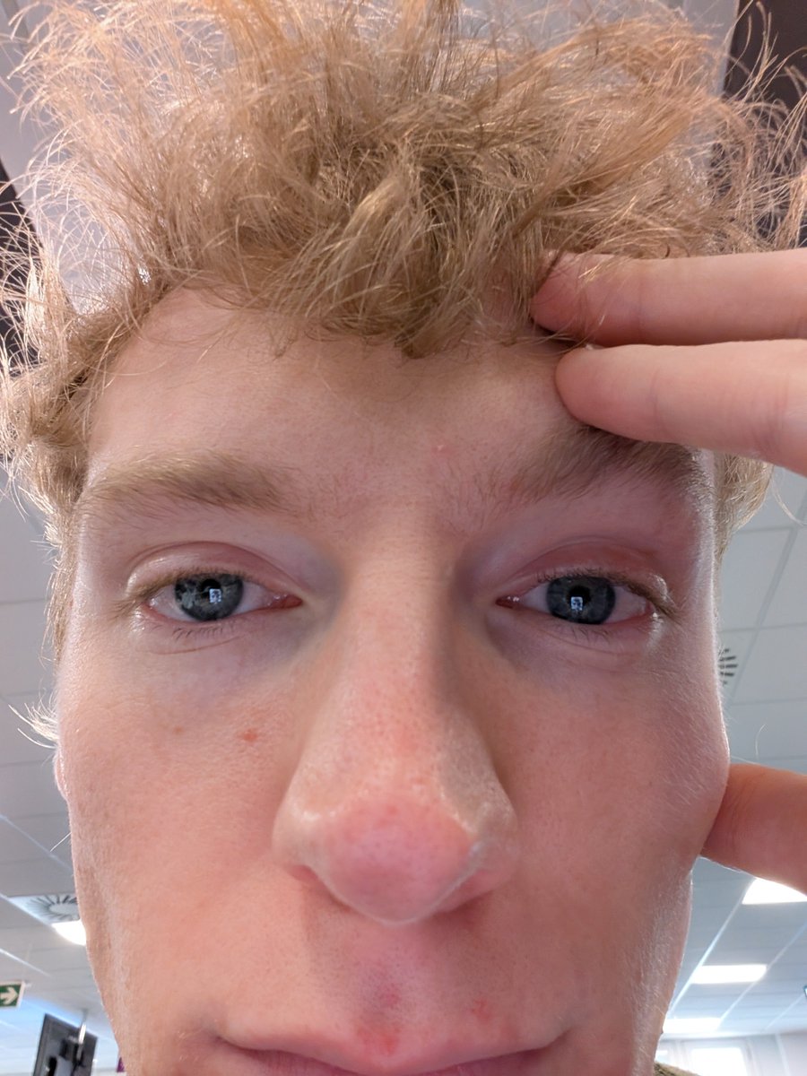 salmonboy🦦 tweet media