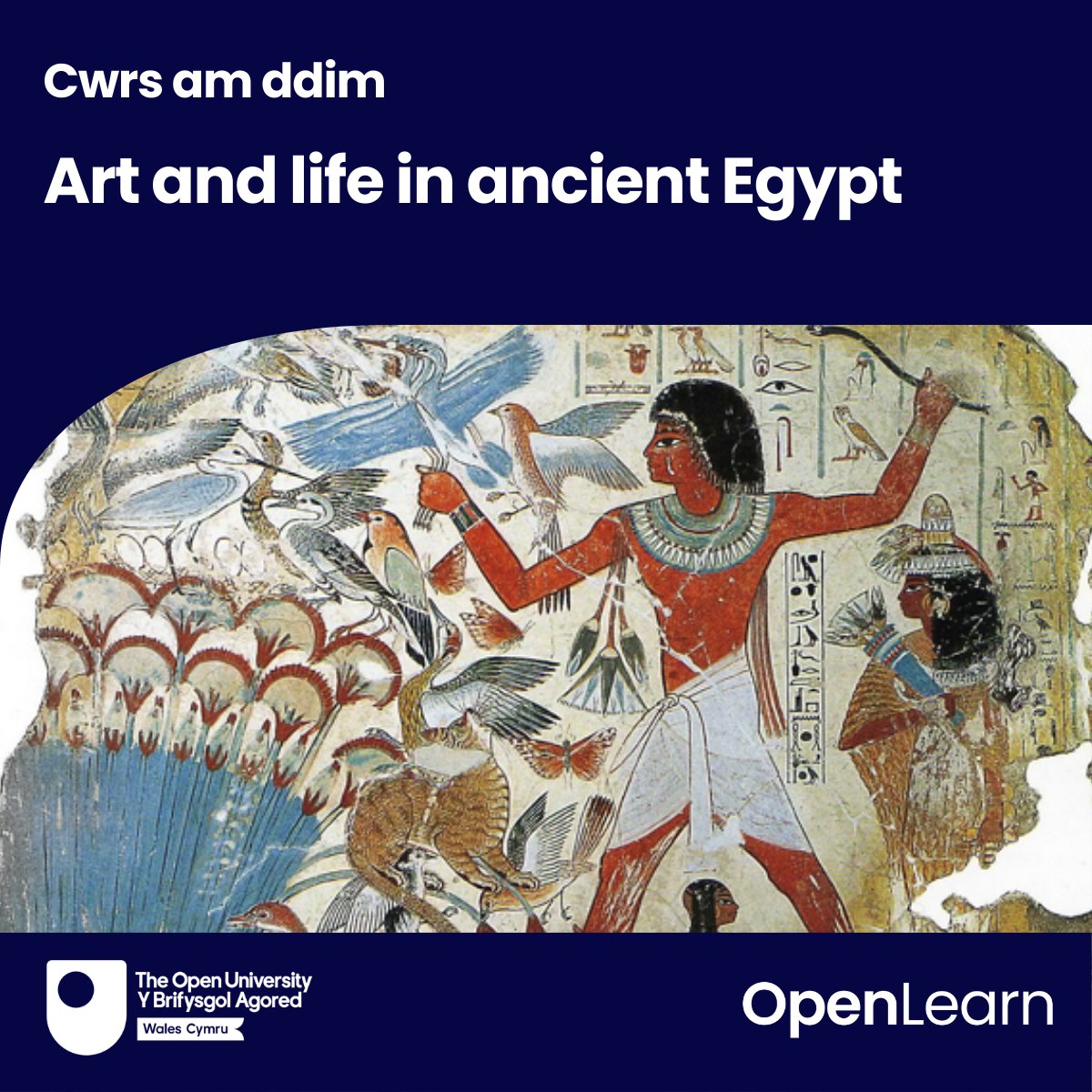 The OU in Wales tweet media