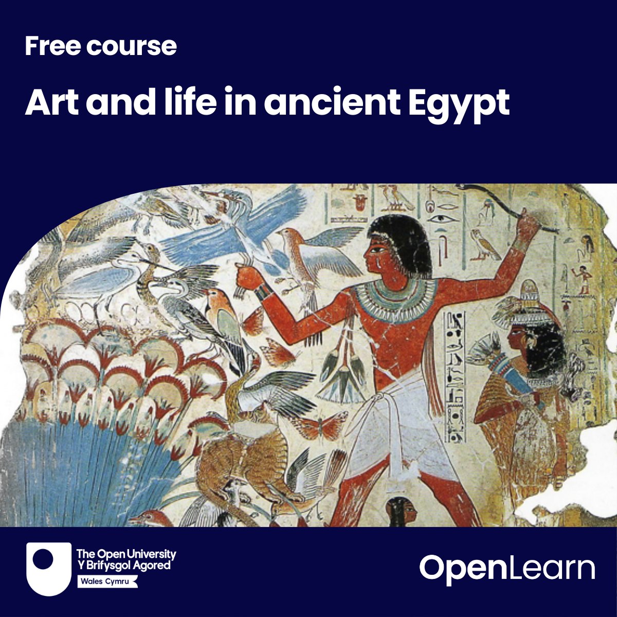 The OU in Wales tweet media