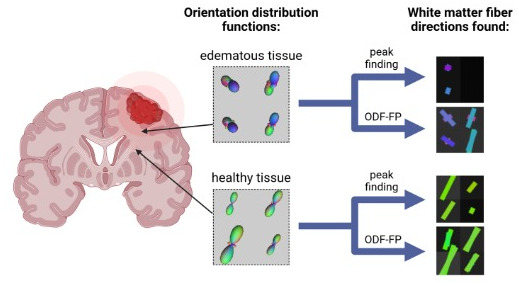 Steven Baete tweet media