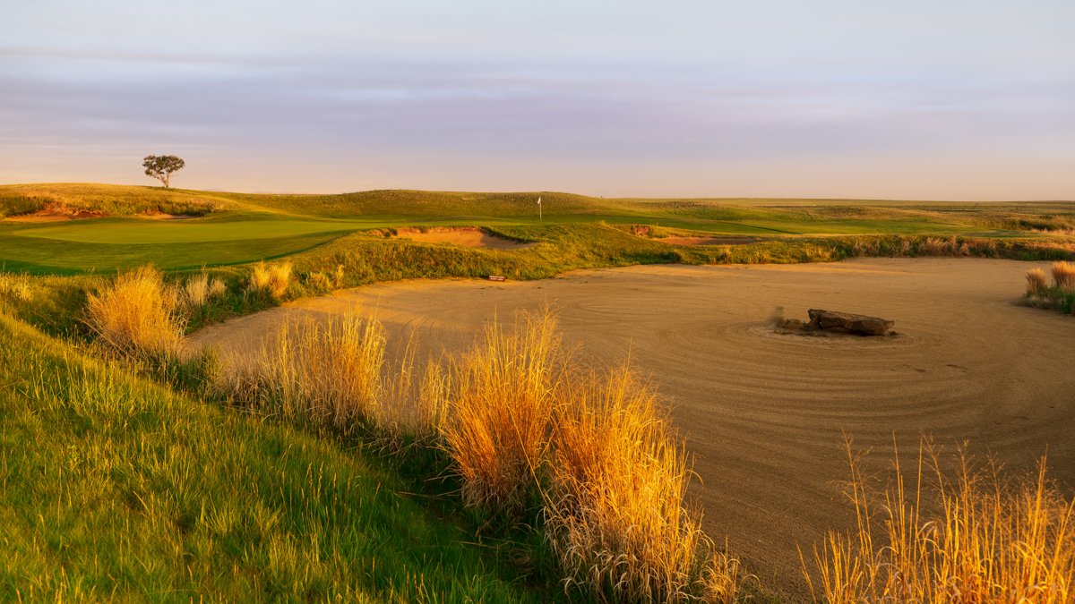 Aurora Golf tweet media