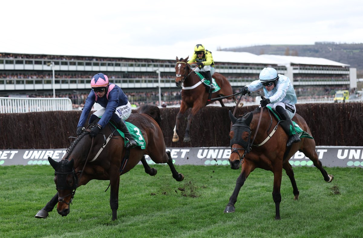 At The Races tweet media