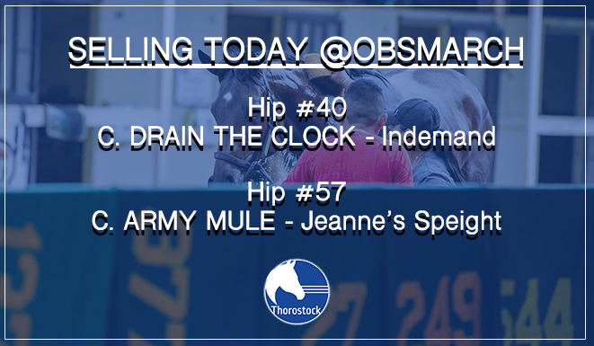 Thorostock LLC tweet media