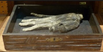 American Literature tweet media