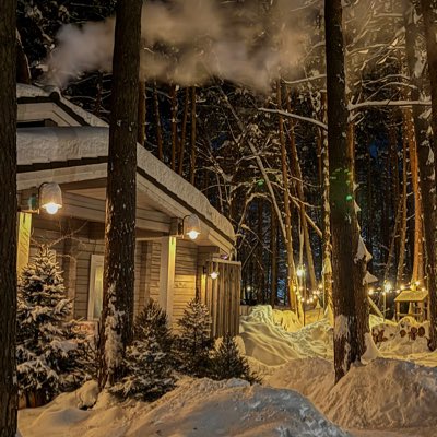 Mohamed Faisal tweet media