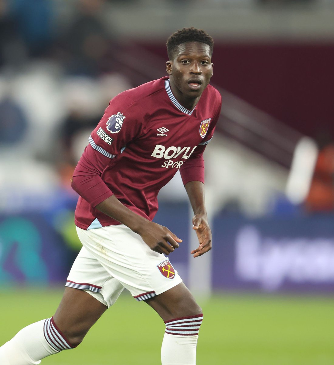 Hammer ARG 🇦🇷⚒️ tweet media