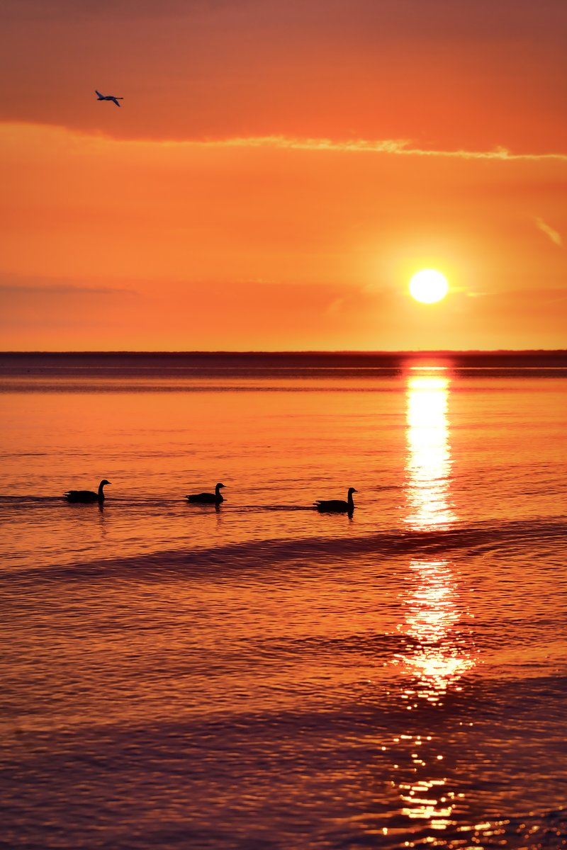 James Montanus tweet media