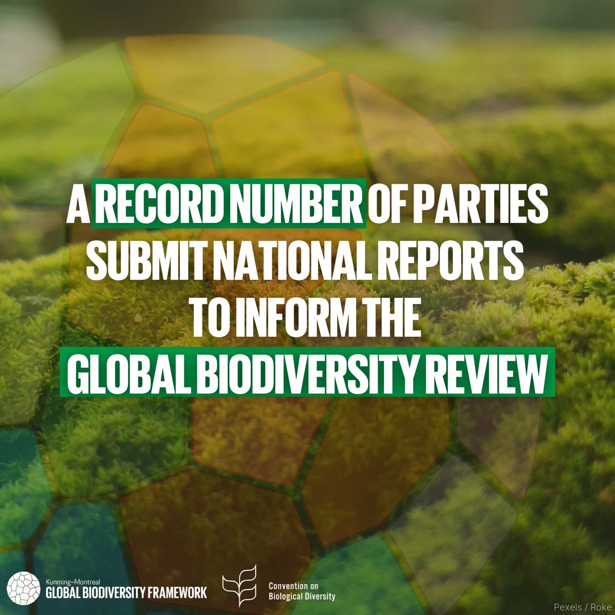 UN Biodiversity tweet media