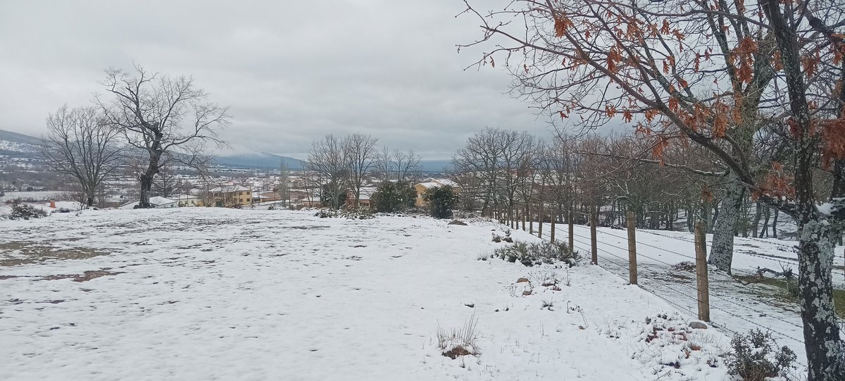 NavarredondaDLR's tweet photo. Nueva nevada en el pueblo. A este paso se va a tener que preparar una zona para esquiadores. Los senderistas disfrutan sorprendentemente de nuestras rutas. https://t.co/kiwV6l8a3p