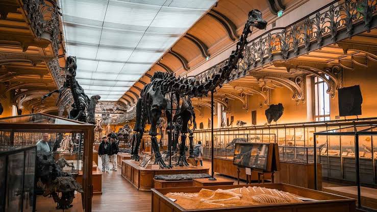 Taylor McCoy 🦖 tweet media