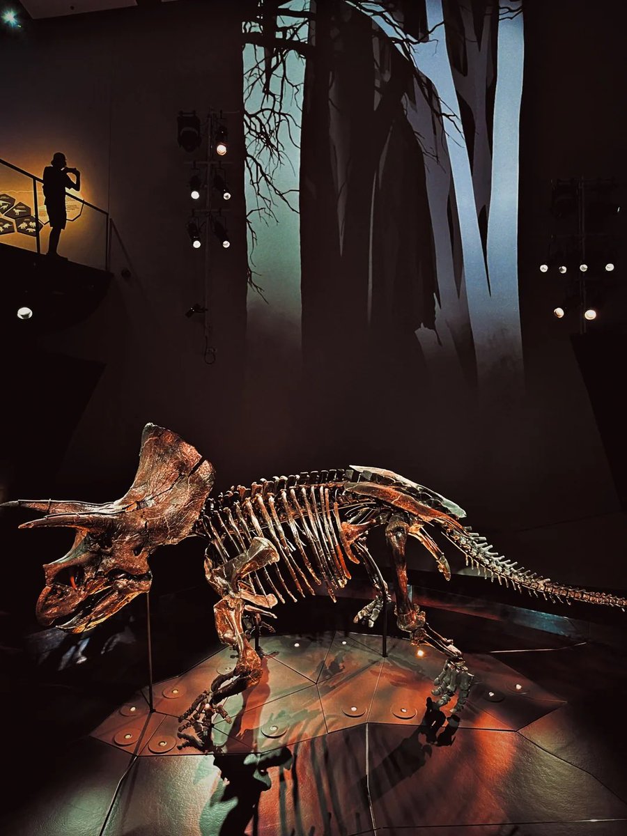 Taylor McCoy 🦖 tweet media