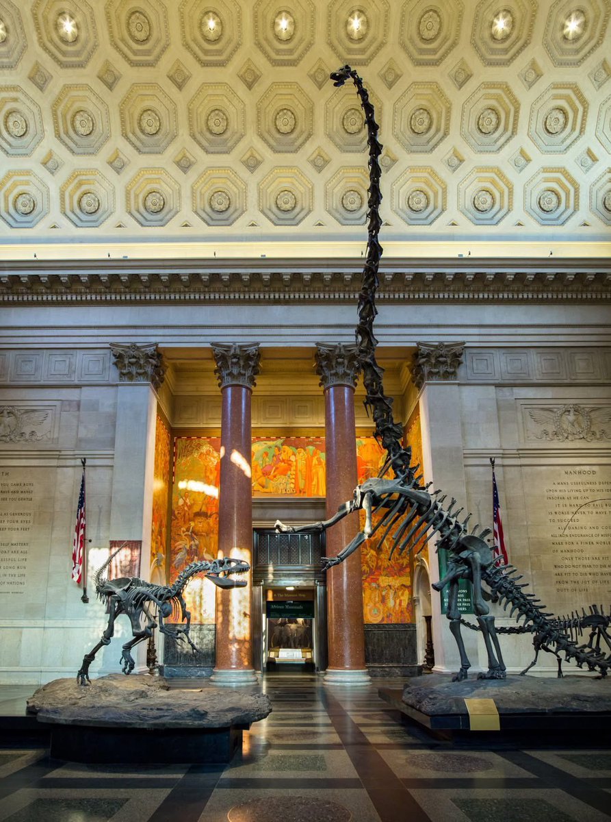 Taylor McCoy 🦖 tweet media