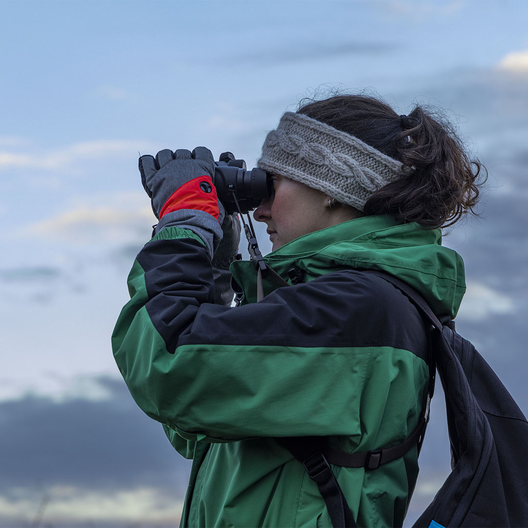 The New Forest - Forestry England tweet media