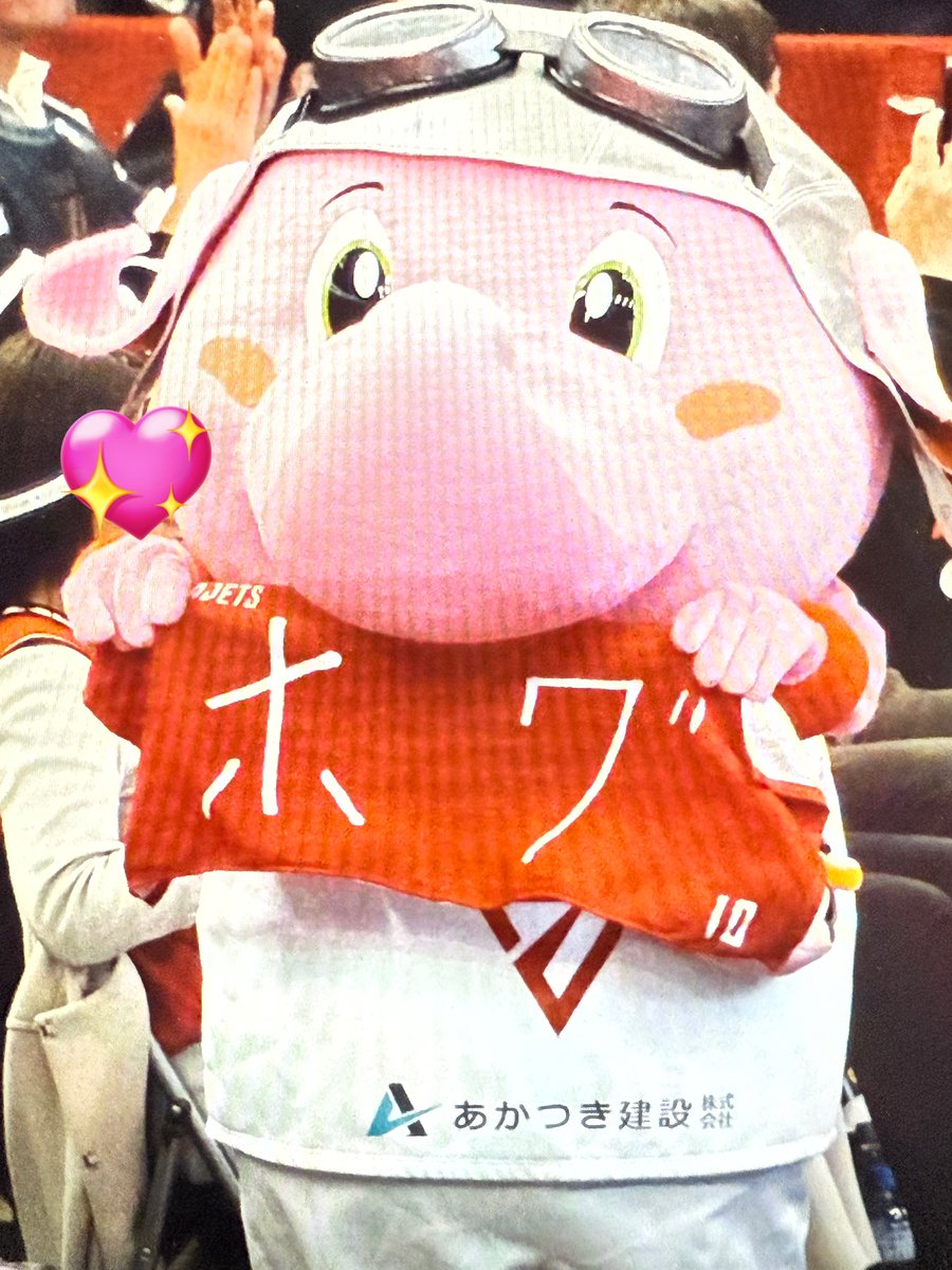 2026.03.07(土)の大阪エヴェッサvs千葉ジェッツで、アウェーエンド席ホグの手書き文字タオルをジャンボくんに貸して〜ってされたホグホグ推しのお姉さん！たまたまジャンボくん📸してたら良い感じに一連の流れが撮れてたので、もし記念にお写真ご入用だったらなと…何かの奇跡でご本人に届かないかな🥹